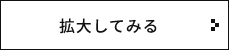 拡大してみる​