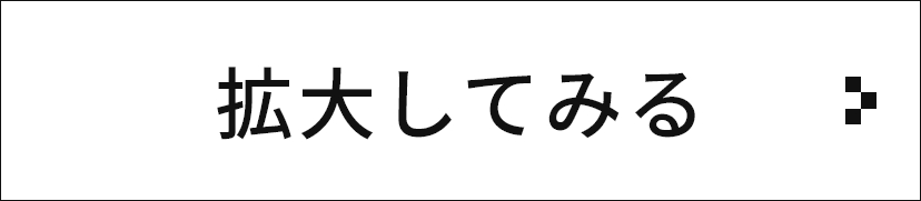 拡大してみる​